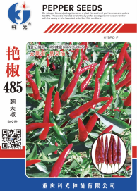 科光種苗“艷椒485”辣椒、“秋實1號”甘藍分別入選2025年農(nóng)業(yè)主導品種、農(nóng)作物優(yōu)良品種推廣目錄